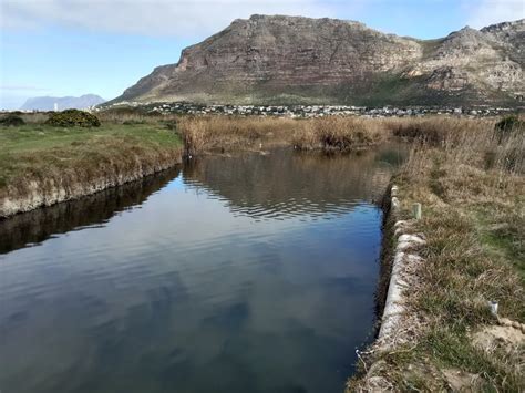  Zandvlei Estuary Nature Reserve: Spokojna Oaza z Oszałamiającym Widokiem na Przyrodę!